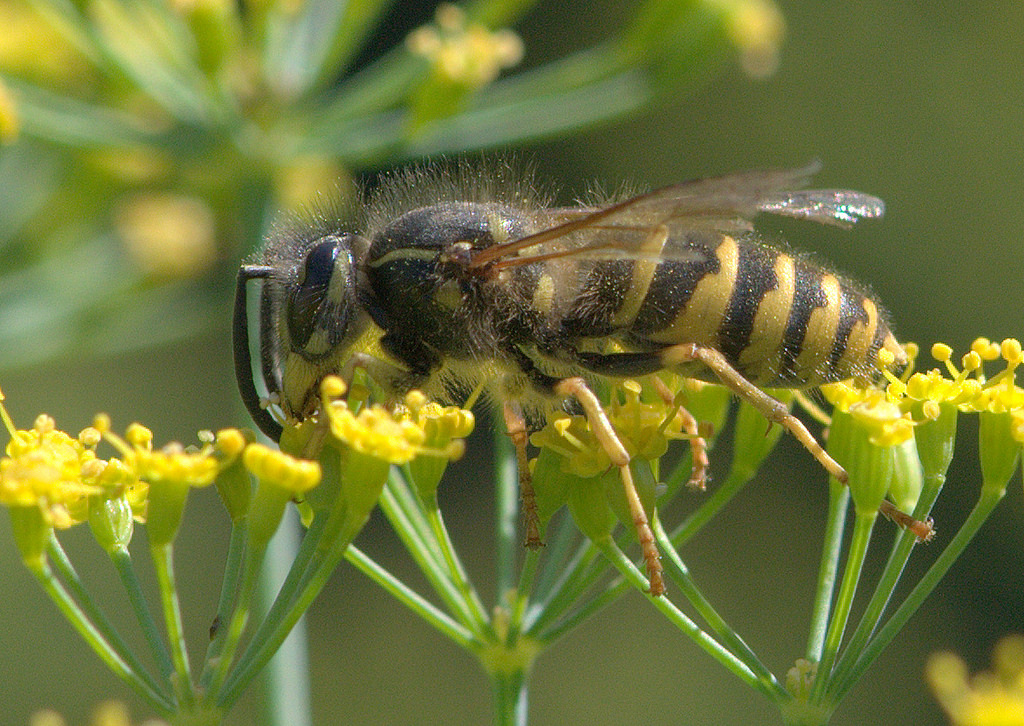 14858356233_e6f3c94eda_b