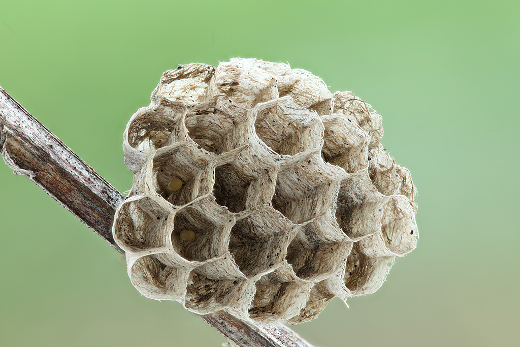 2013-05-19-15_50_01_ZS_PMax