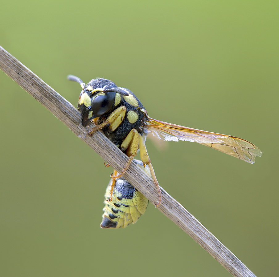 2013-07-17_21-56-39_M_B_R_8_S_4