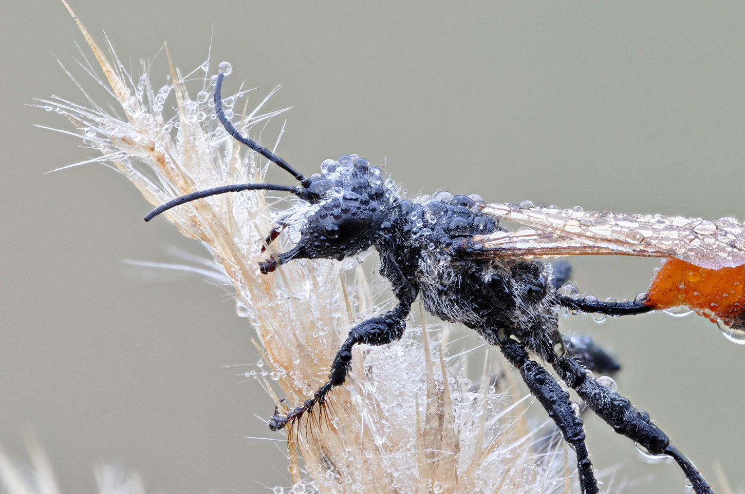 2013-08-27-12_01_10-ZS-PMax_002_Exr