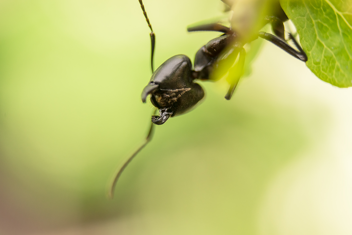 20140531_143712_DSC06259_36