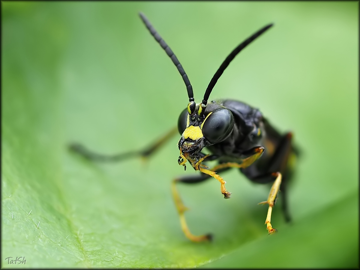 2015-06-29_14-04-01_