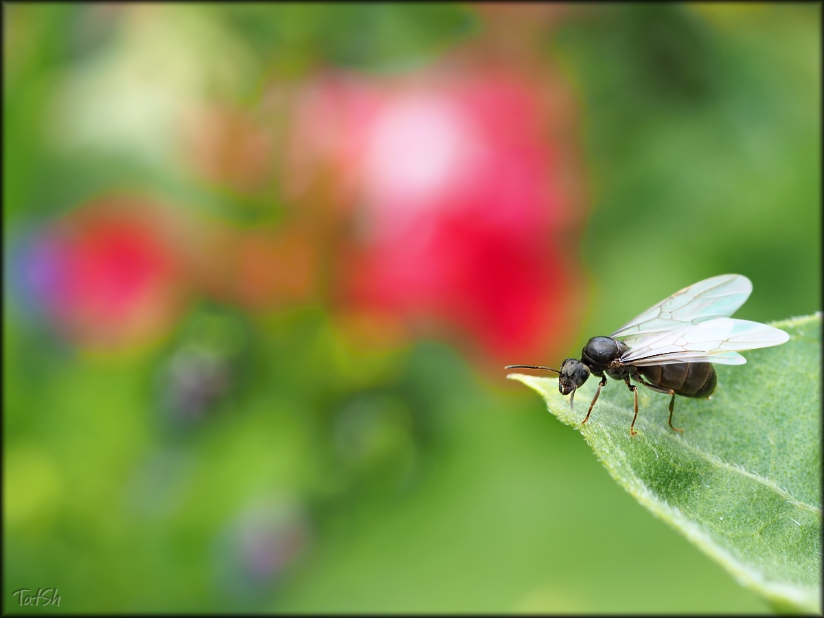 2015-07-17_15-17-57_