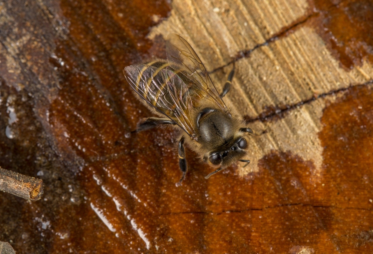 2016-03-29_15-01-02_