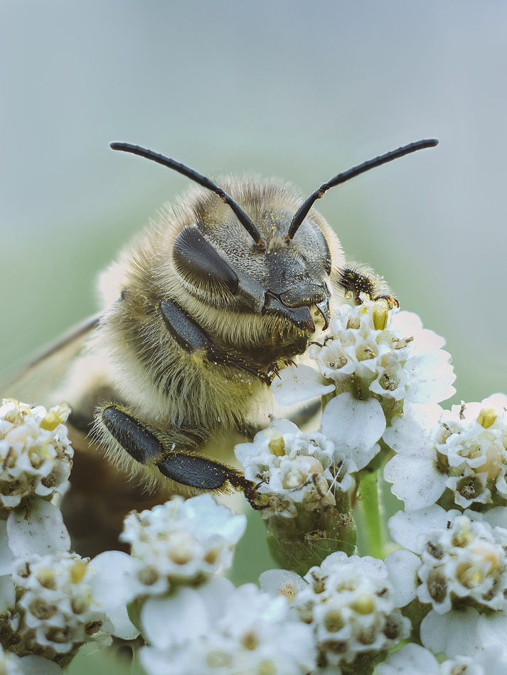 2017-08-27_16-05-24_M_B_R_25_S_6