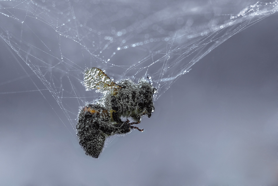 2017-09-04_10-26-14_M_B_R_25_S_6_