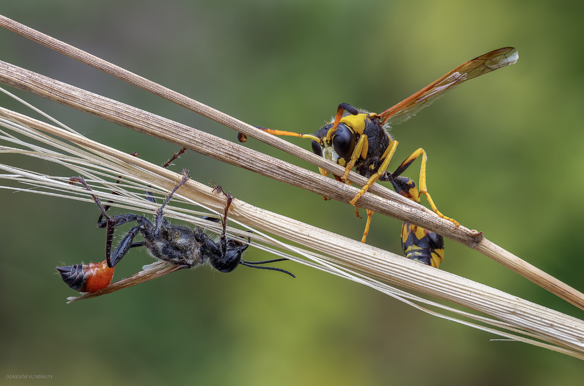 2018-09-30_23-42-19-M_B-R_34-S_4