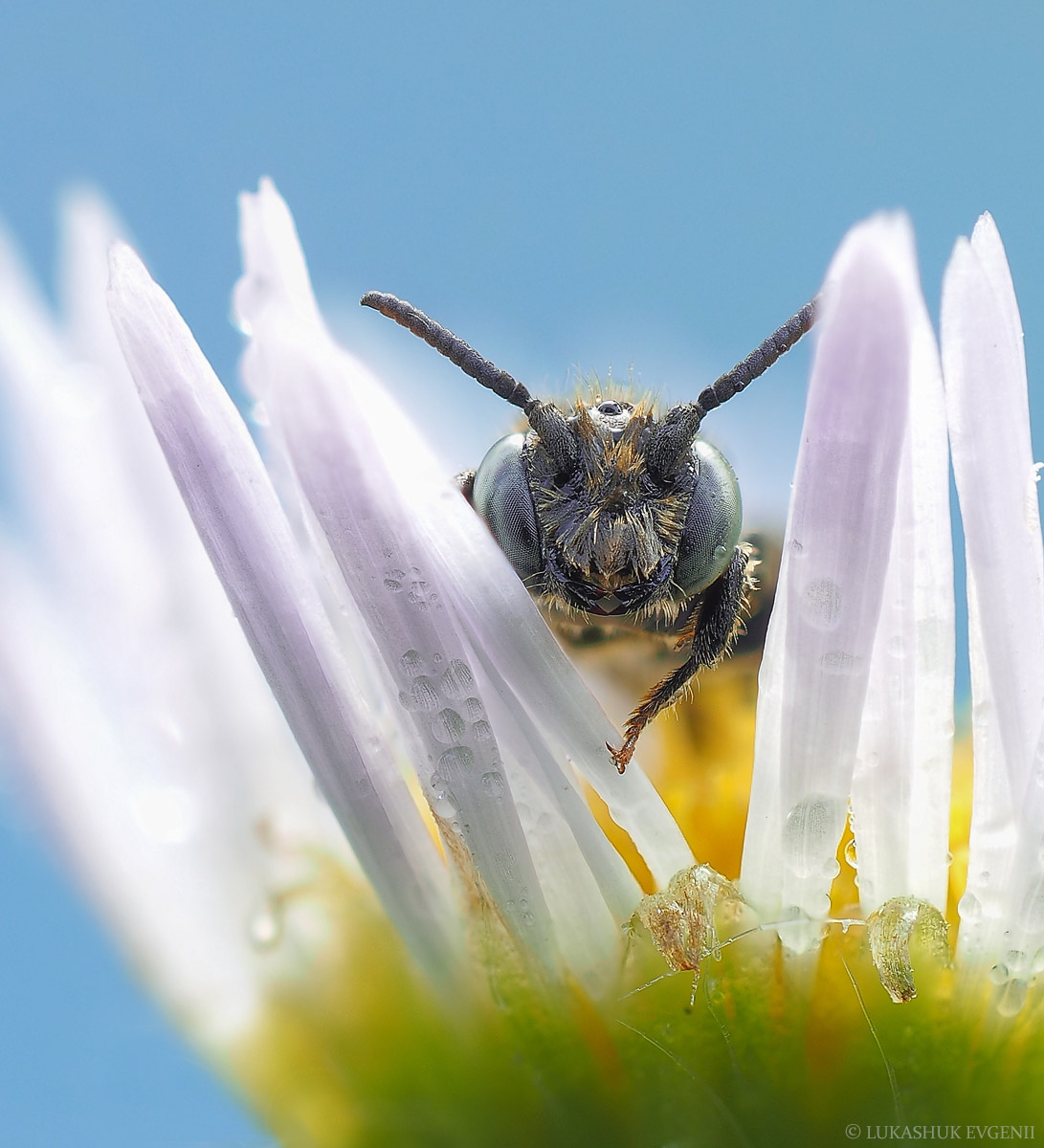 2020-06-22_14-21-24_M_B_R_20_S_2