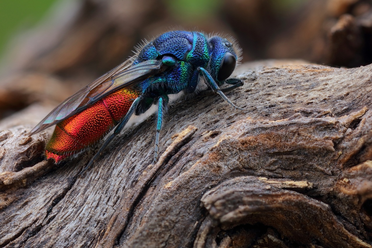 2020-09-26-21_26_05_ZS_retouched