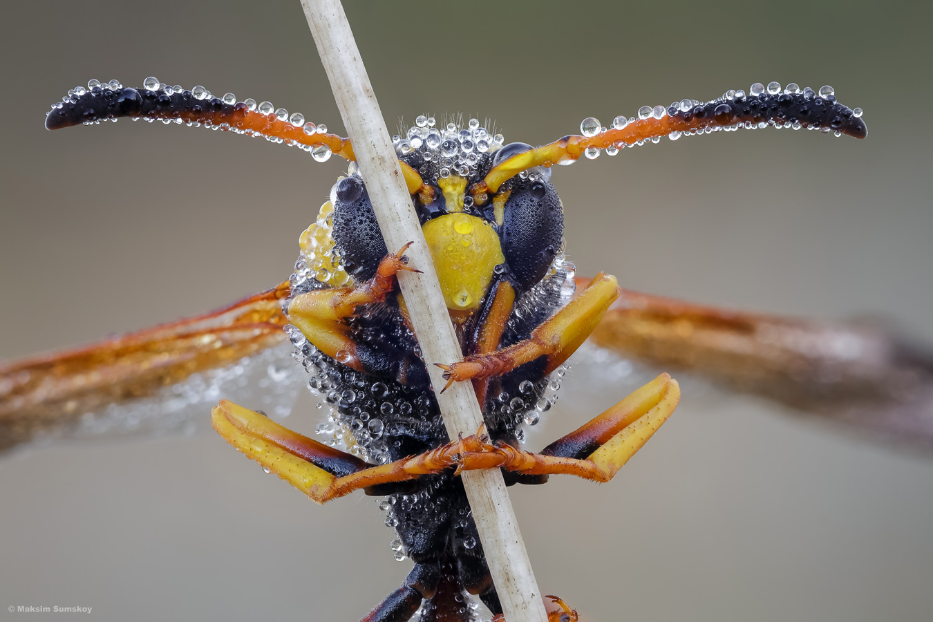 2021-09-06-22-00-07-_B_Radius6_Smoothing10_