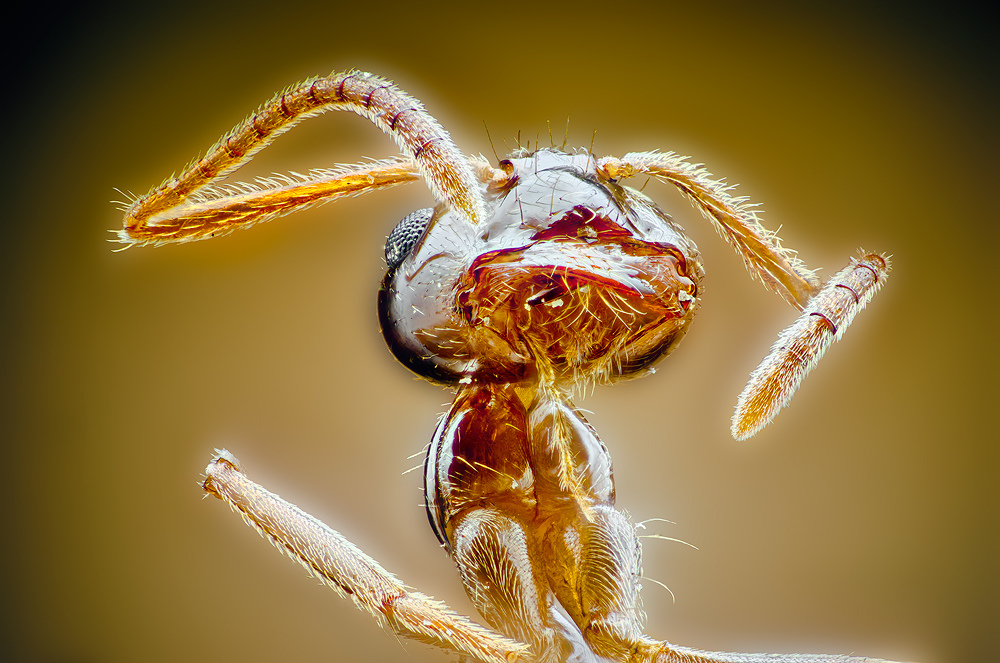 5688036454_98421d096d_b