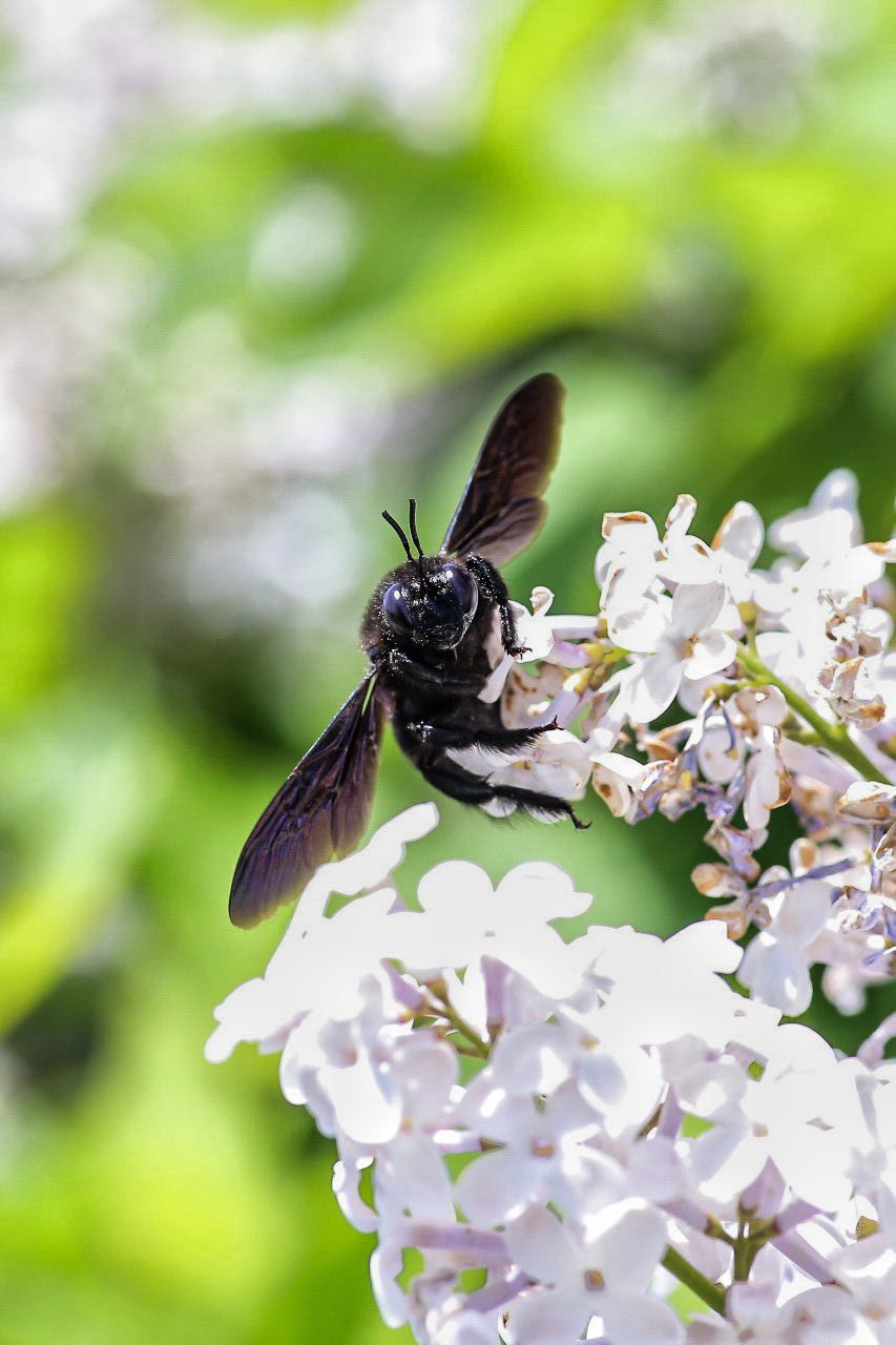 SAVE_20170814_064003-01