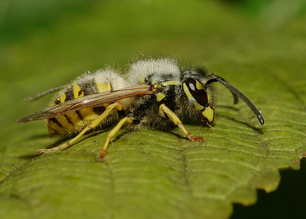 tmp_5496-_IGP8104zm-11068662118