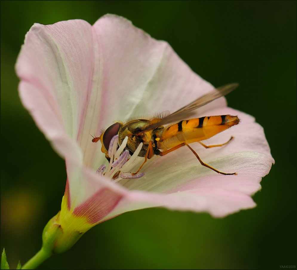 -_ds25690_090726-1004_nxCe_-904