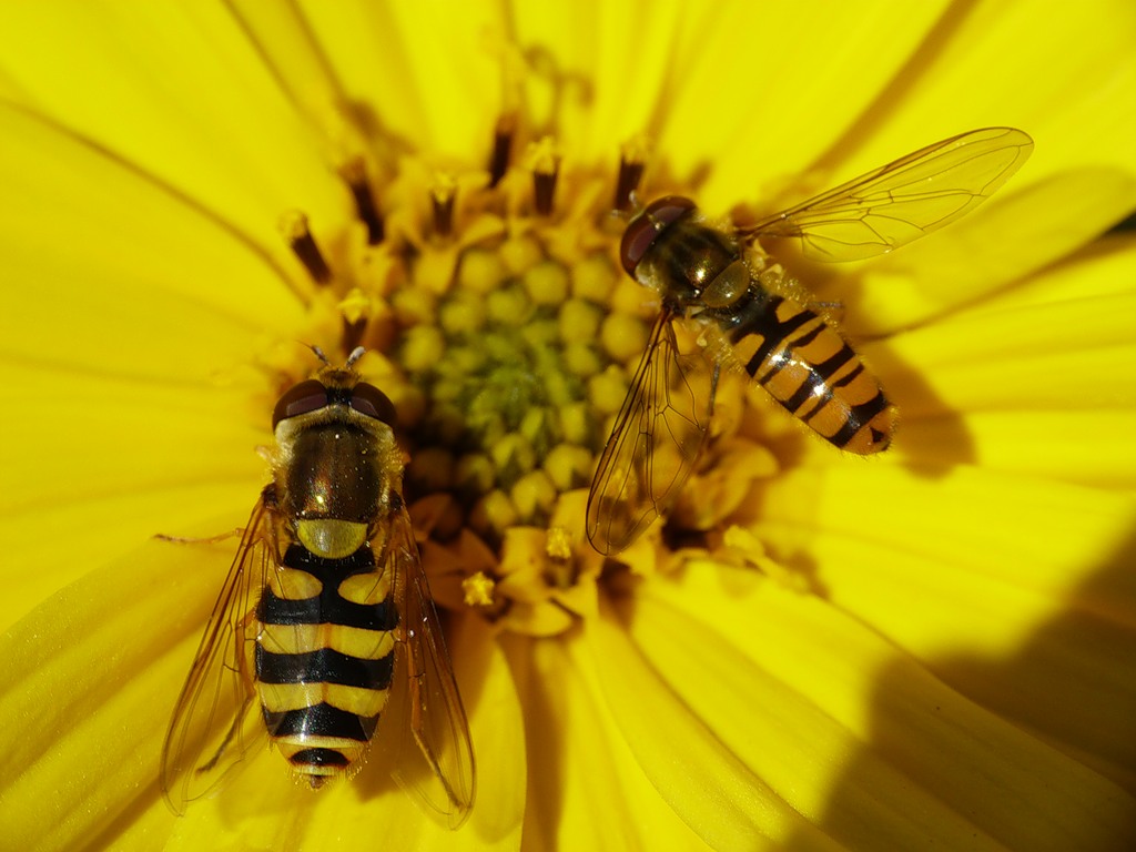 0_6612b_fd5334de_XXL