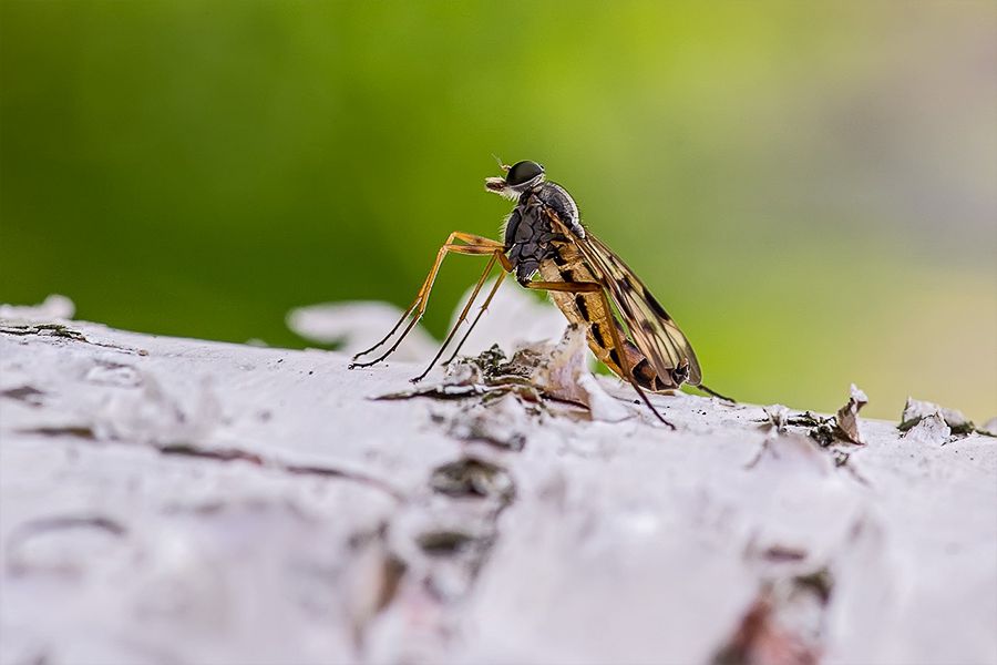 0_818c7_2fbdfc49_orig