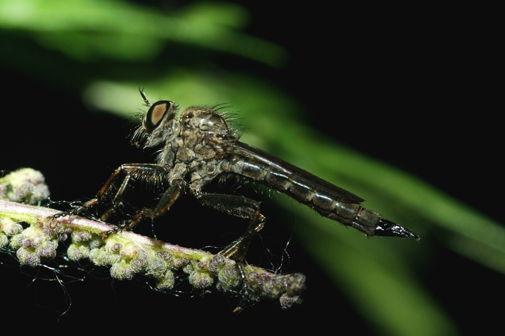 0_b1d6e_ab290fd0_orig