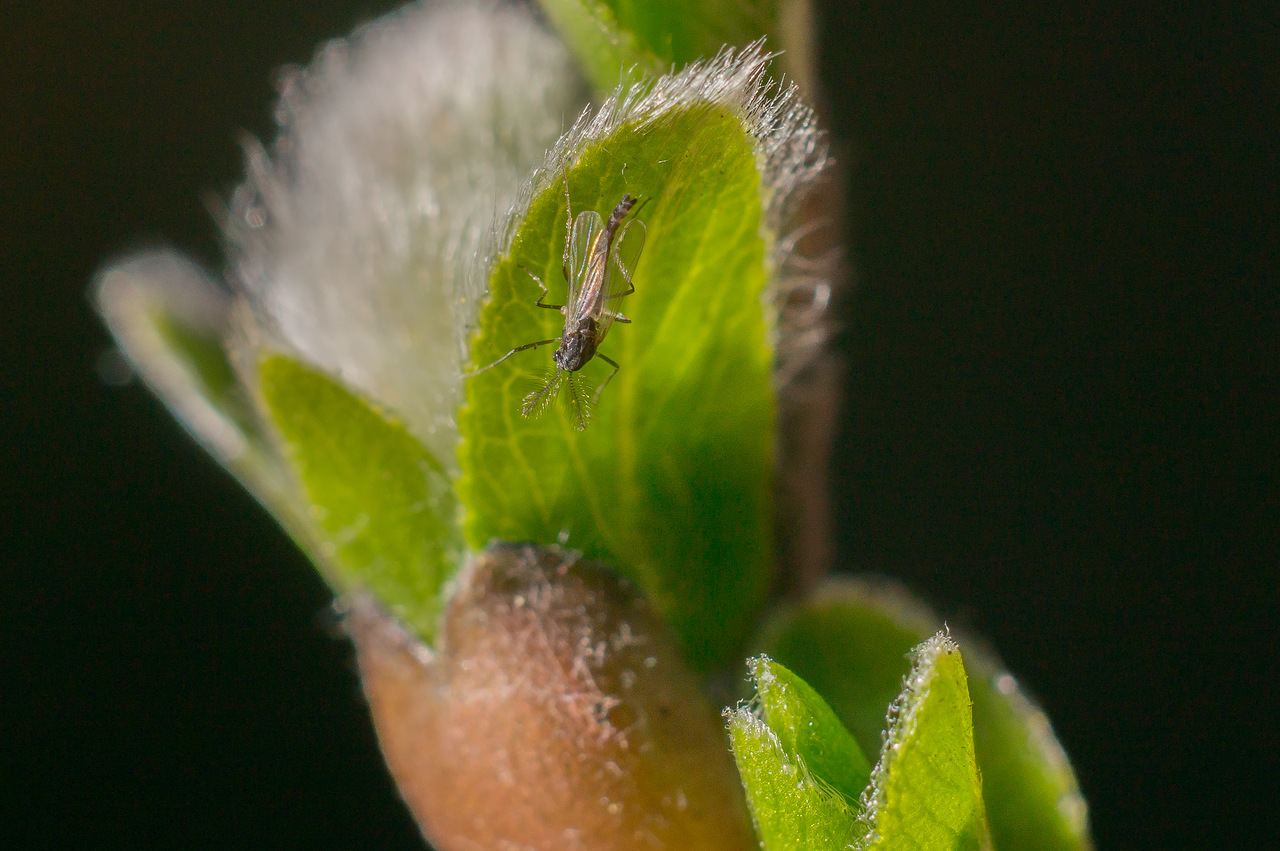 0_dc3b7_4bbaf340_XXXL