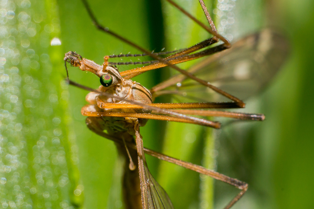 0_e2b9a_74b25b91_XXL