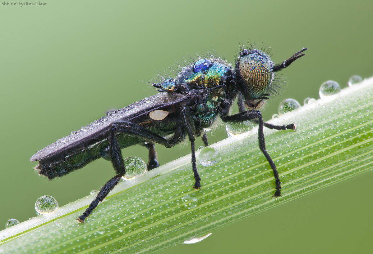 12-03-03_204052_M_A_R_8_S_4