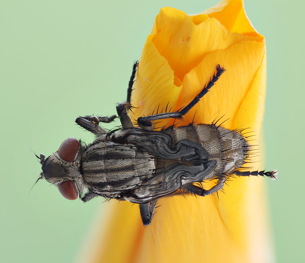 12-07-16_161120_M_B_R_8_S_4