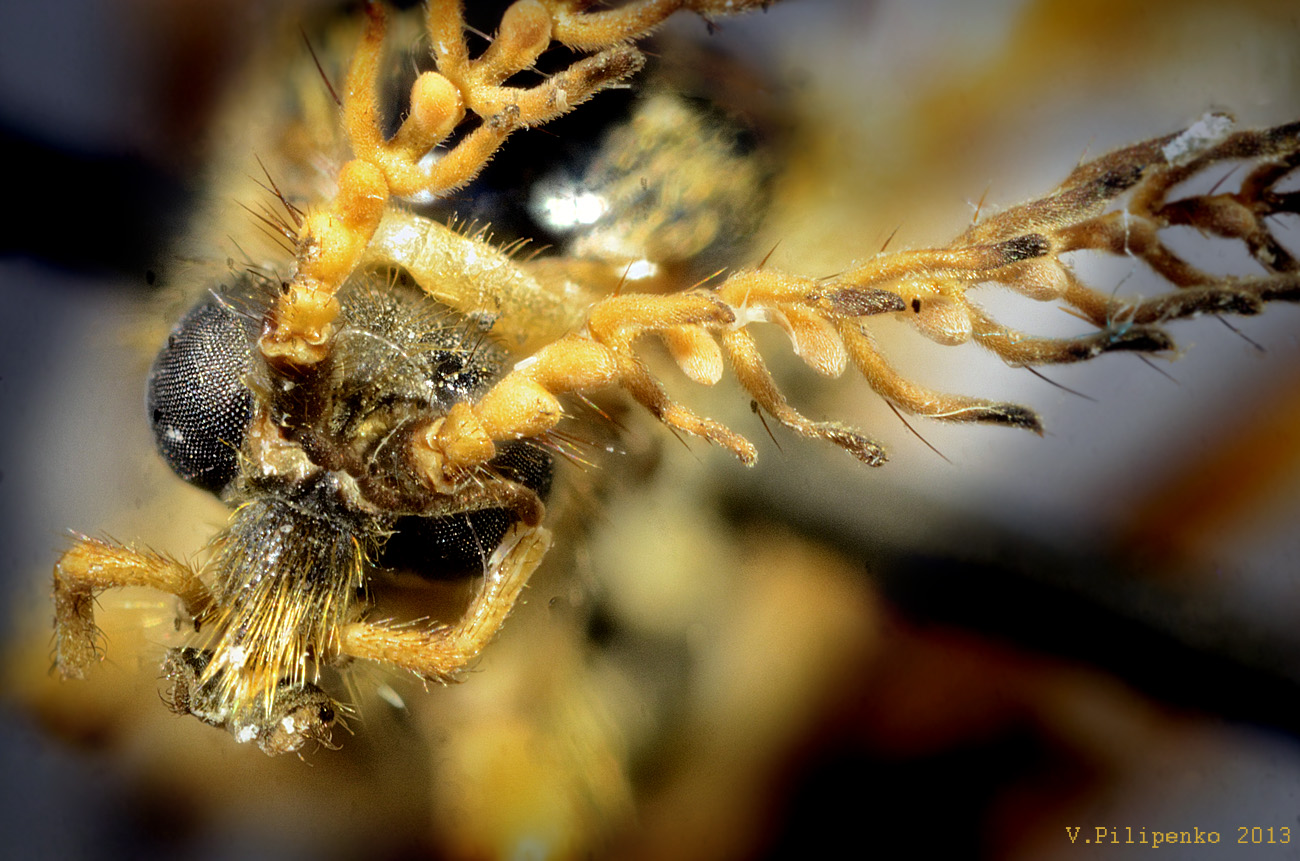 13-04-13_180628_M_C_1