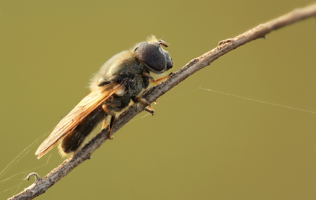 13-04-13_183755_M_A_R_8_S_7_-_