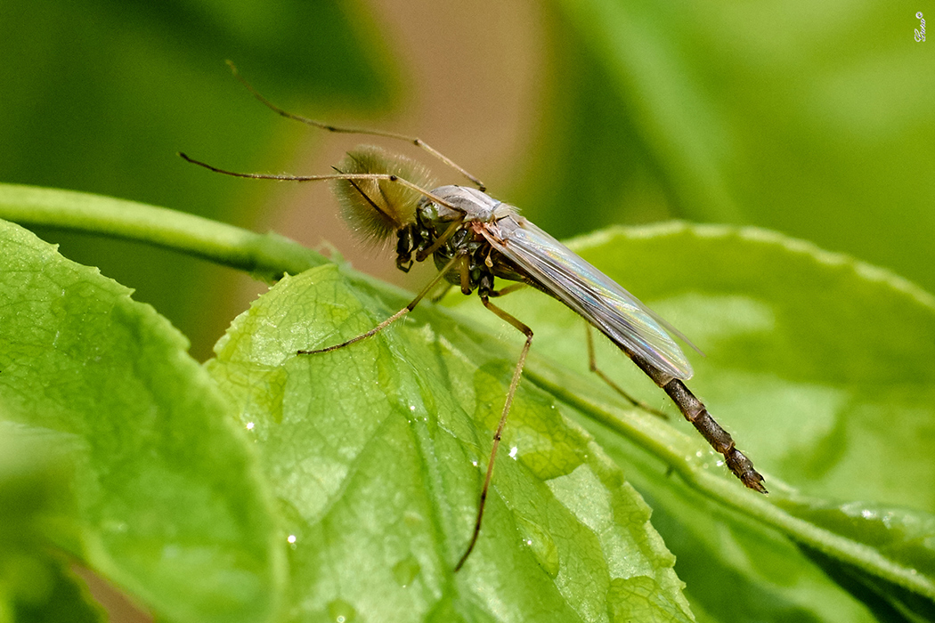 1_NGhEoXeTkiVIc2zOIi1pgoXF4PE_1a08dc_b5b36bd2_orig