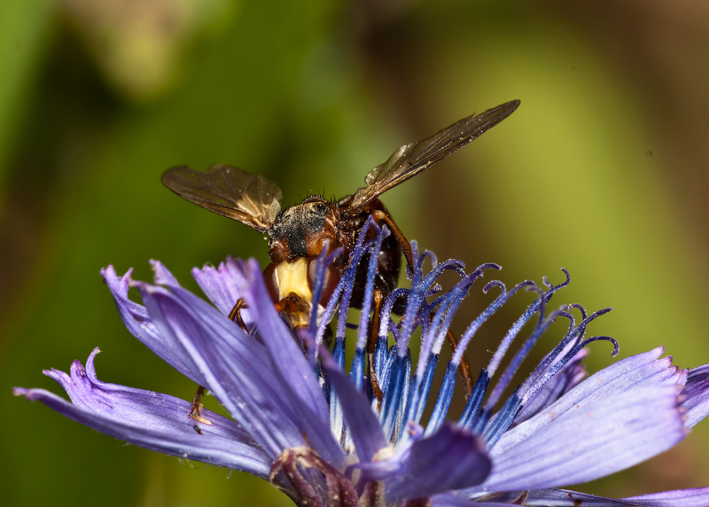 2011-07-07_12-07-22_copy