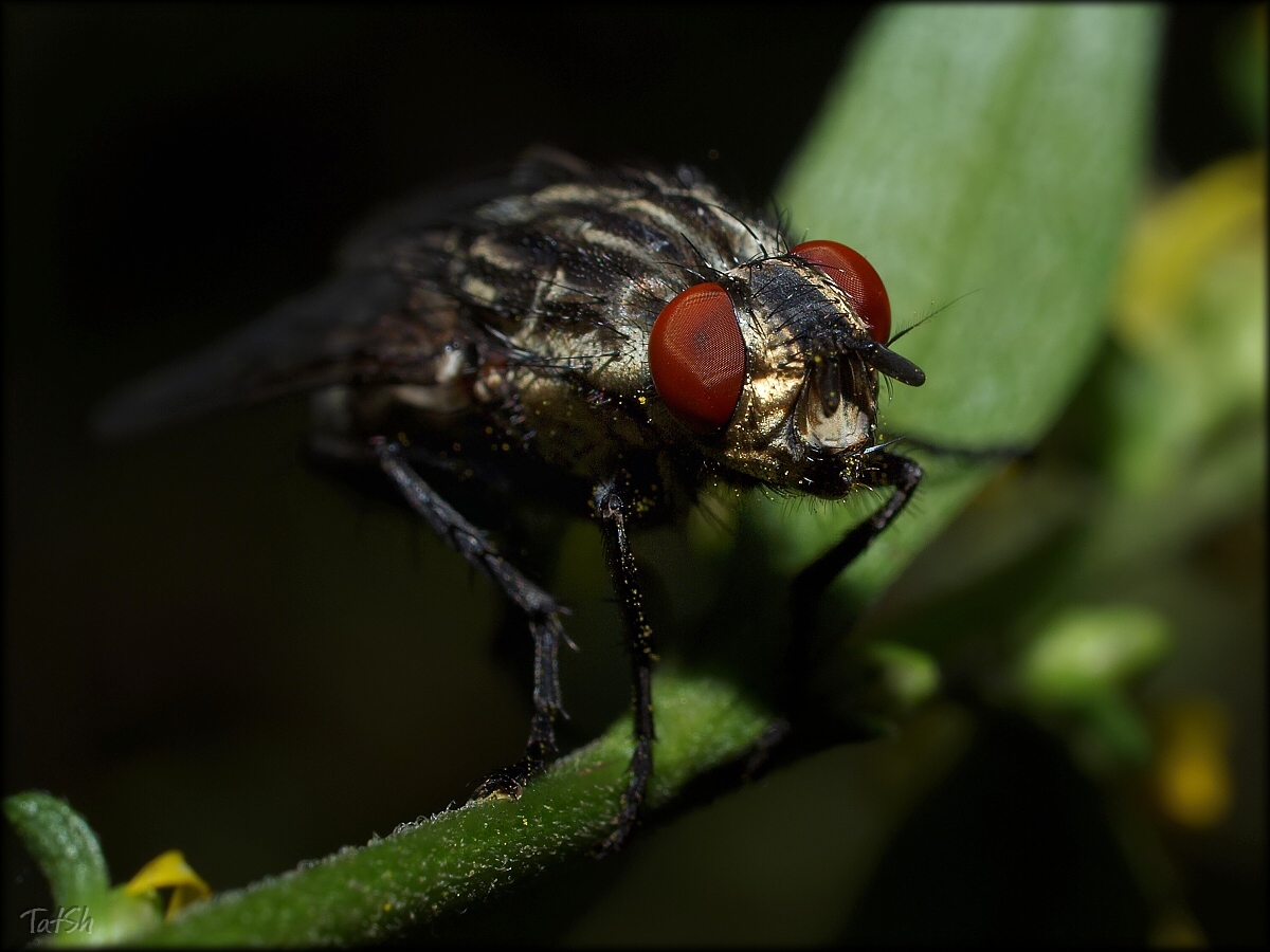 2012-08-30_16-16-21_