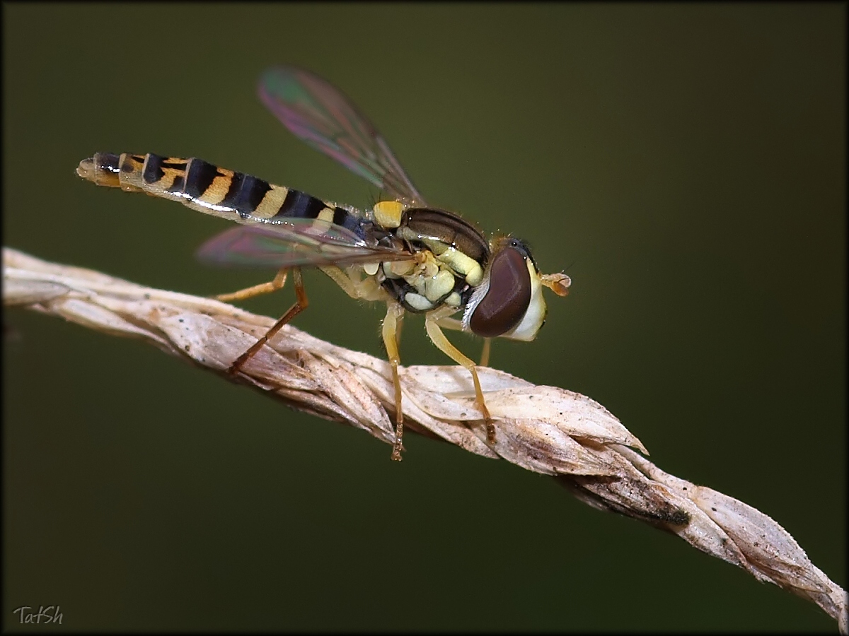 2013-07-24_10-12-49_