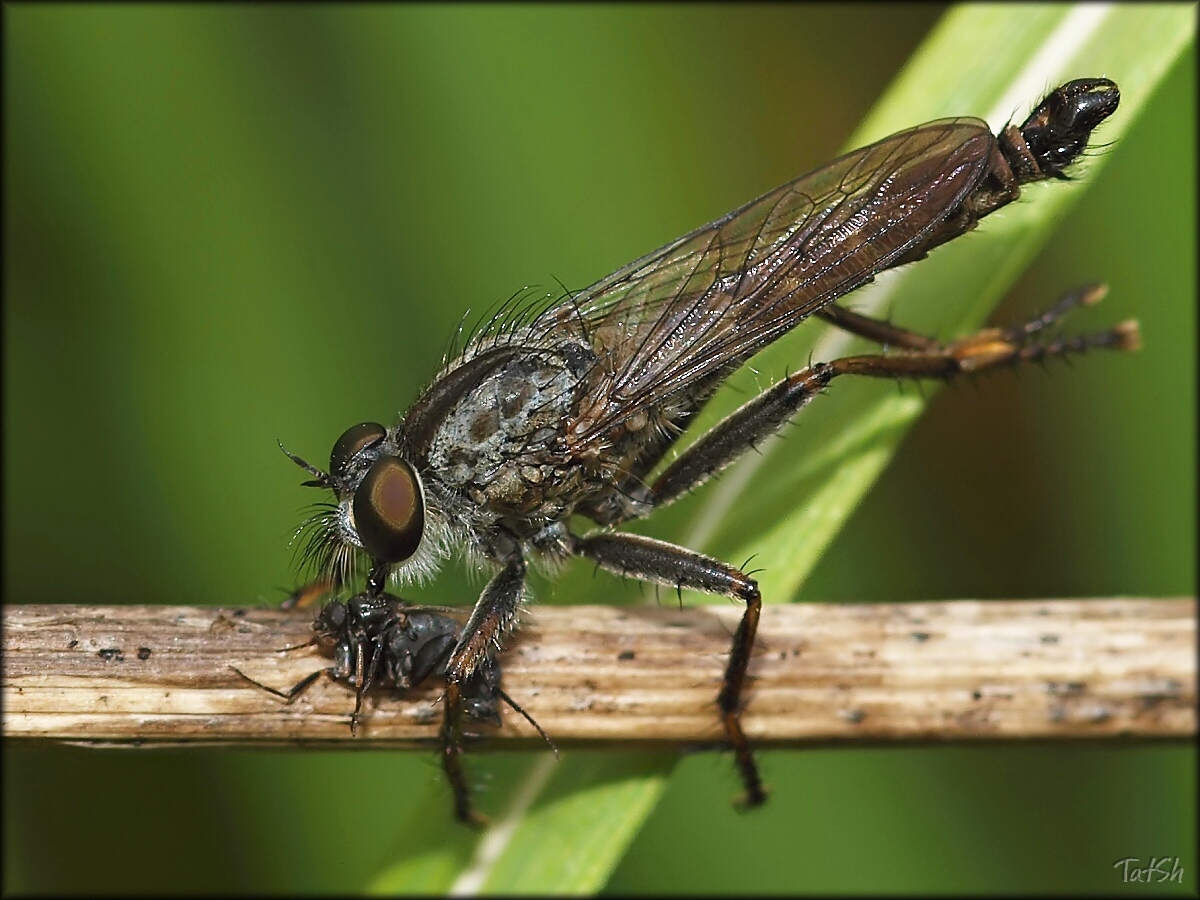 2013-08-08_13-49-40_