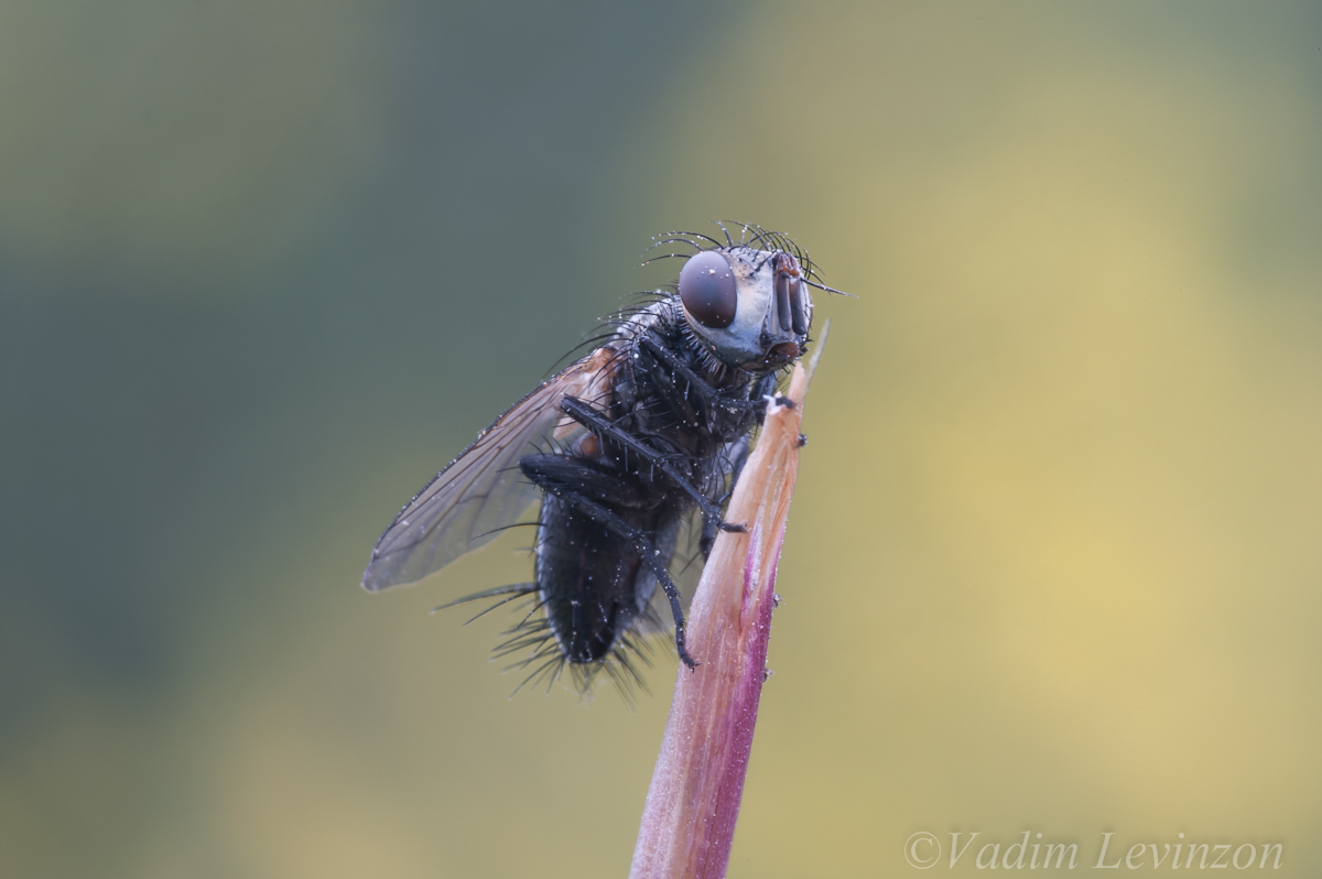 20130223-untitled_shoot-00035