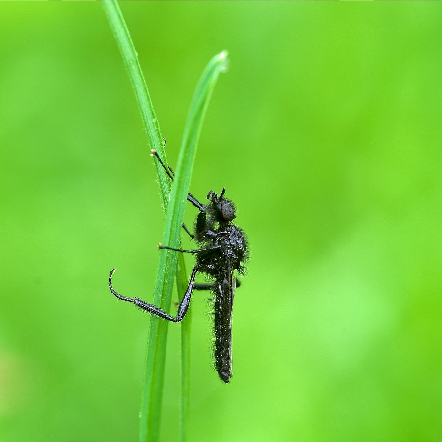 20130526_0754_900x900