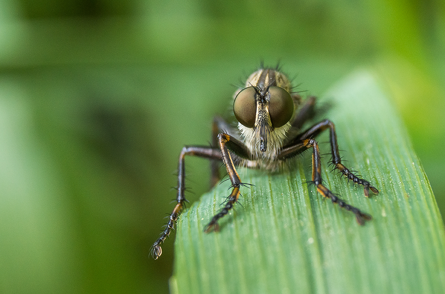 20130730_161902_DSC09105_72_k_