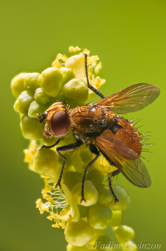 20140301-untitled_shoot-00002-1