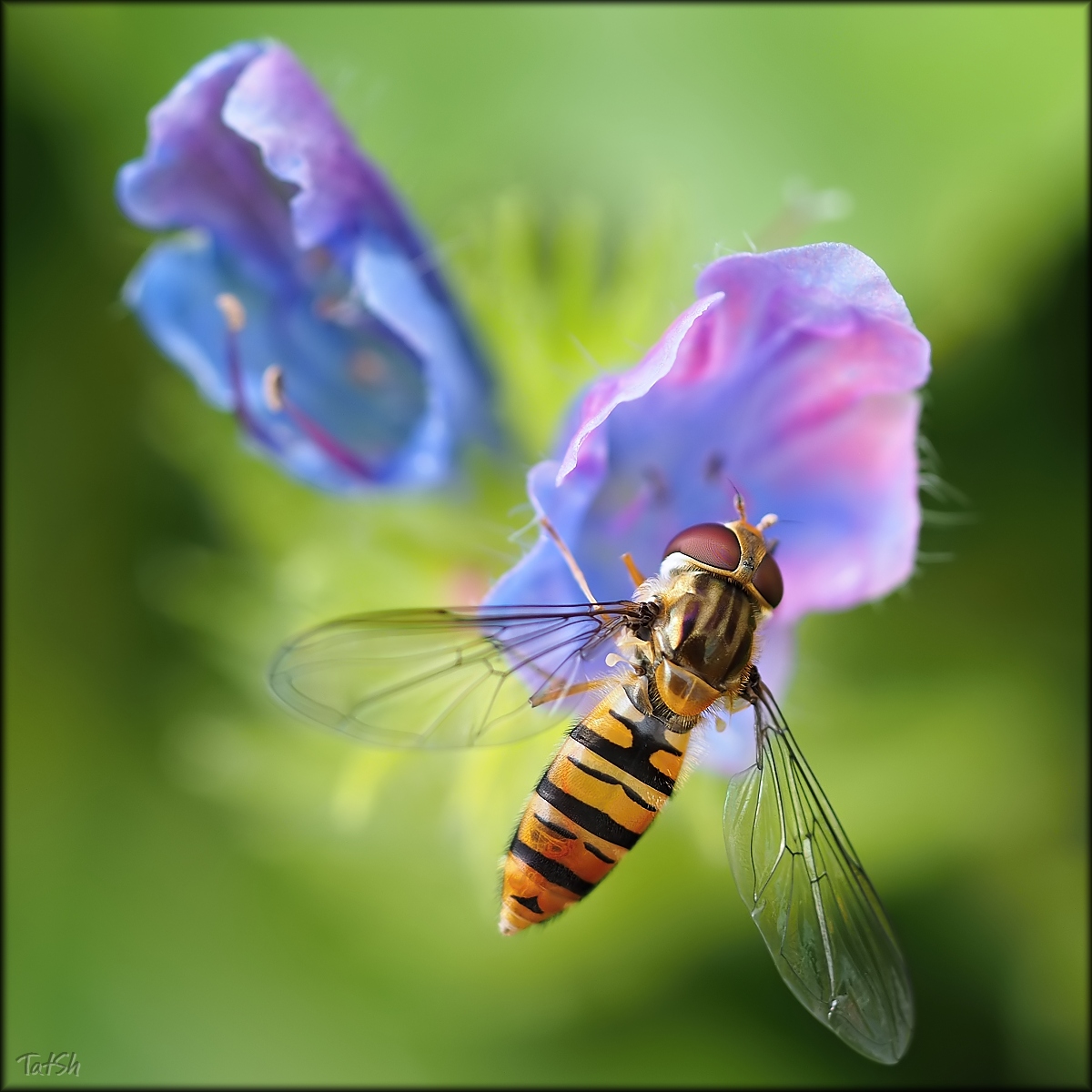 2015-08-01_12-16-11_