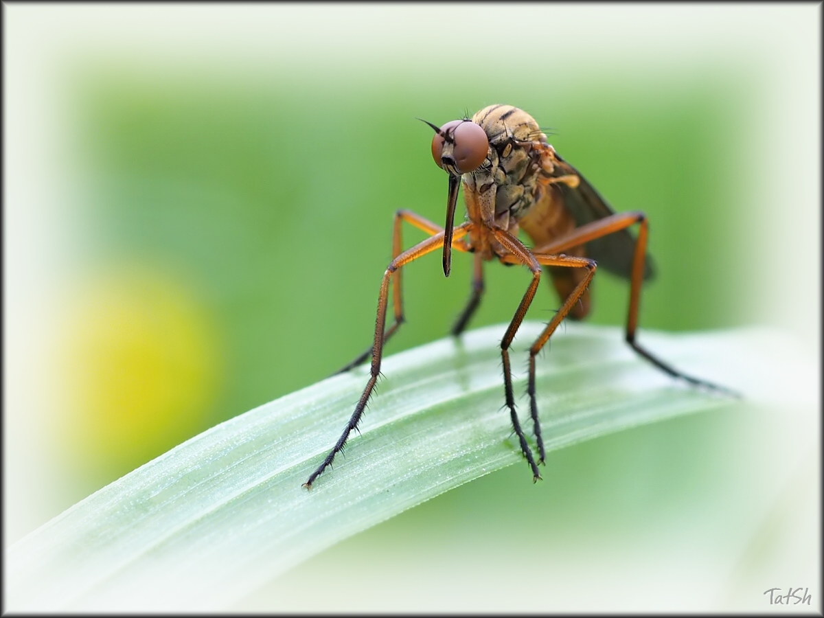 2016-06-03_17-18-04_