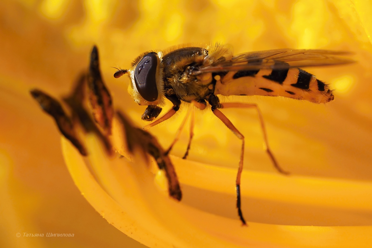 2017-09-20_14-10-45_6