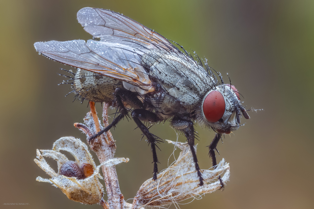 2018-01-30_20-39-20_M_B_R_10_S_7