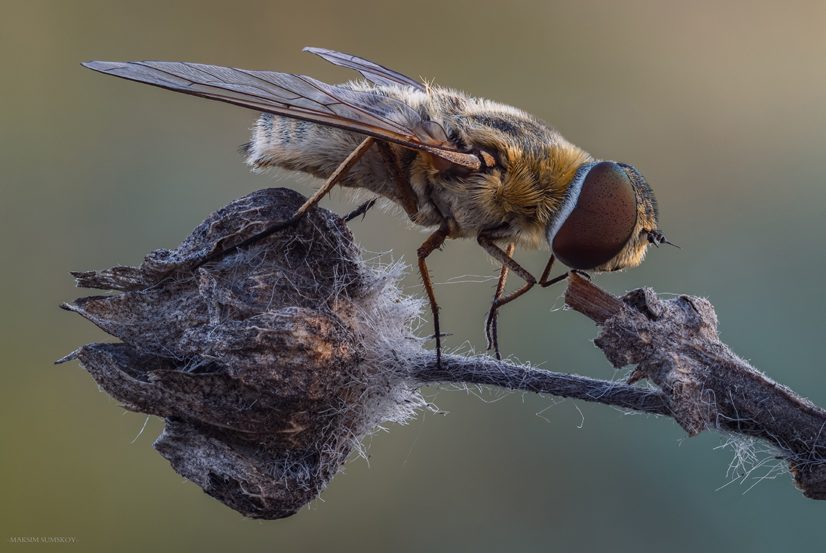 2018-06-09_12-20-58-M_B-R_2-S_9