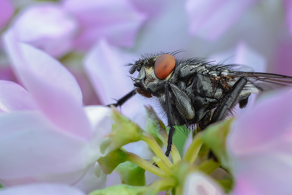 2018-06-18_21-47-39_M_B_R_8_S_4_