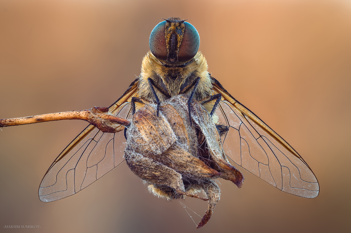 2018-10-10_18-14-54-M_B-R_7-S_2