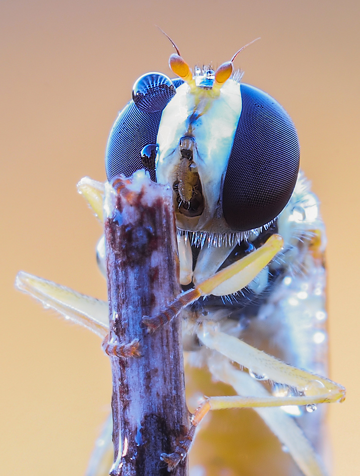 2018-10-13_21-19-03_M_A_R_10_S_4_