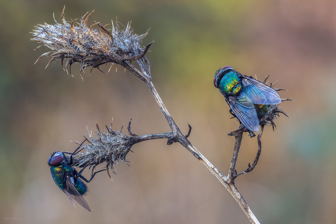 2018-10-13_21-41-58-M_B-R_6-S_10