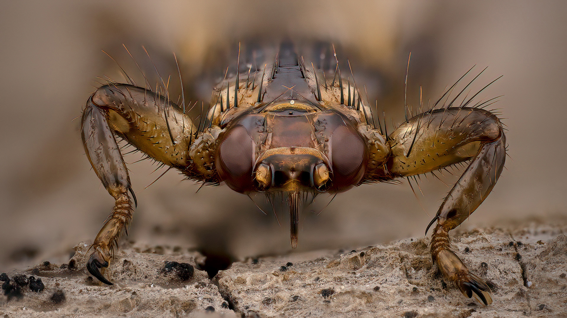 2020-11-15-21_43_48_HDsss