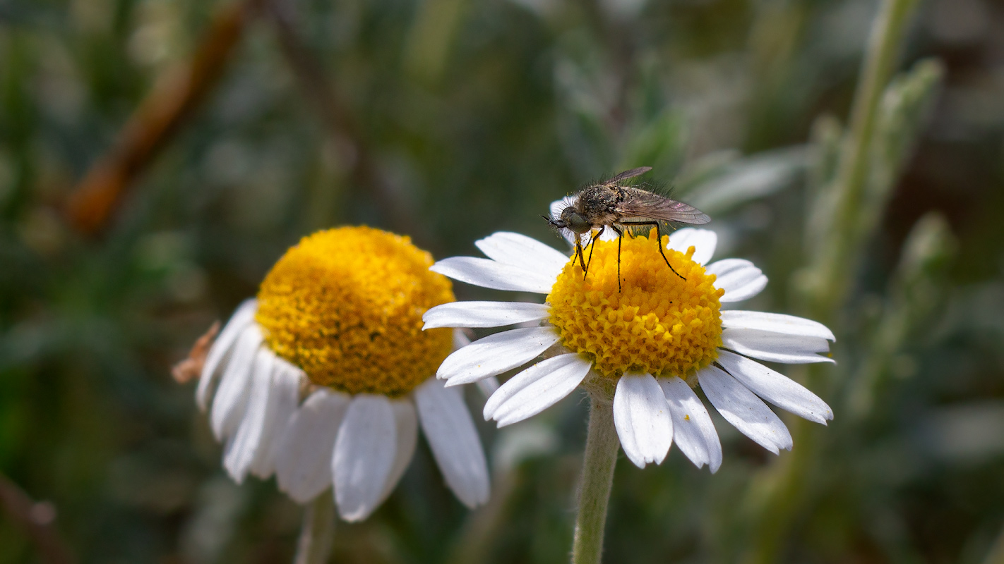 2020_05_03_15-09-51_00026