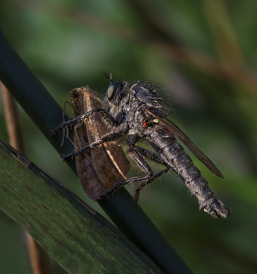 2020_06_28_07-58-50_00050