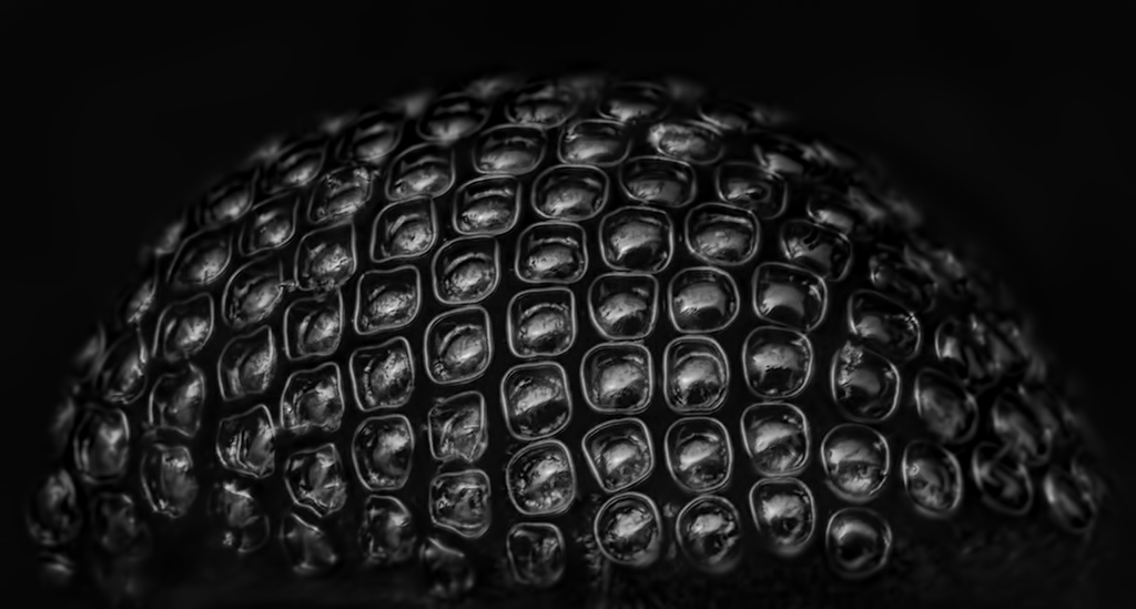 25411827954_de83fb9c33_o