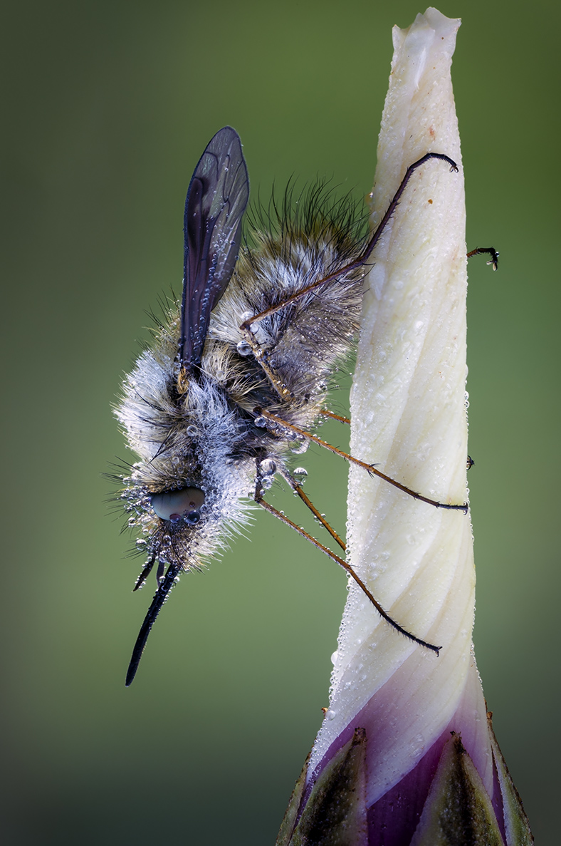 4N2A9265_corr_resize